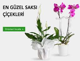 Buca Çelenk Fiyatı