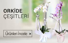 Buca Açılış Çiçekleri